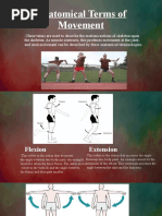 Anatomical Terms of Movement