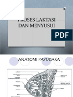 Laktasi dan Menyusui Proses