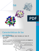 Características y clasificación de las proteínas