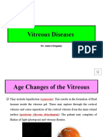Vitreous Diseases: Dr. Amira Elagamy
