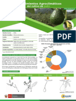 Ficha Tecnica12 Cultivo Palto