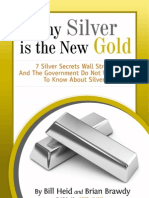 Silver Report Final