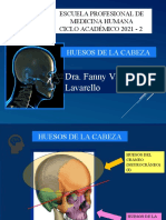 Huesos de La Cabeza-Dra Fanny Vasquez L.