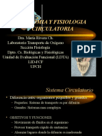 Anatomia y Fisiologia Circulatoria