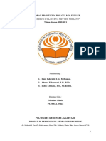 Maulina Afifah (P3.73.34.2.19.023) - Laporan Praktikum Biomol - D4 TLM - ISOLASI KIMIAWI