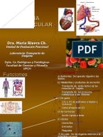 Cardiovascular Estructura, Circulacion, CIENCIAS 2006
