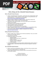 FSMR Template | PDF | Firefighting | Fire Safety