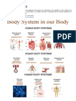 Body System in Our Body: Homeostasis