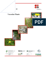 Vascular Plants: Ireland Red List No. 10
