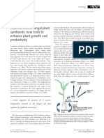 Commentary: Multifunctional Fungal Plant Symbionts: New Tools To Enhance Plant Growth and Productivity