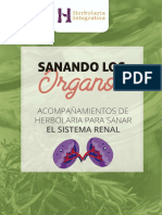 3 Acompañamiento de Herbolaria para Sanar El Sistema Renal Anantli - Compressed 1