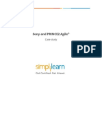 Case Study - Sony and PRINCE2 Agile