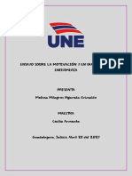 Ensayo Sobre La Motivación y en Que Afecta A Enfermeria