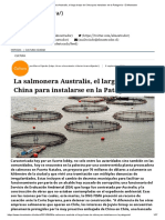 La salmonera Australis, el largo brazo de China para instalarse en la Patagonia - El Mostrador