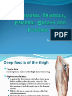 Femoral Triangle 1