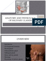 Anatomy and Physiology of Salivary Glands
