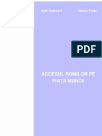 Accesul_romilor_pe_piata_muncii