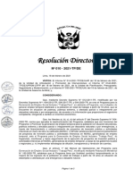 Rd 010-2021-Tp-De Directiva Sobre Financiamiento de Actividades de Intervencion Inmediata