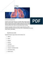 Kvėpavimo Organų Ligos Ir Slauga