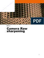 Camera Raw Sharpening: Movie 3