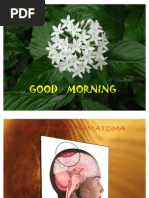 Download SUBDURAL HEMATOMA by Nuzhat Noor Ayesha SN52391315 doc pdf