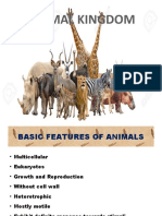 Animal Kingdom PPT 3 - Class 9