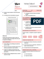 Resumo - 4 - Rayos X