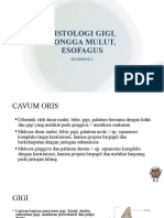 Kel2 - Histologi Gigi, Rongga Mulut, Esofagus