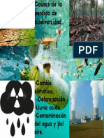 Cambio Climático, Deforestación, Lluvia Acida, Contaminación Del Agua y Del Aire.