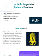 Organización y Funcionamiento de La SNPAD