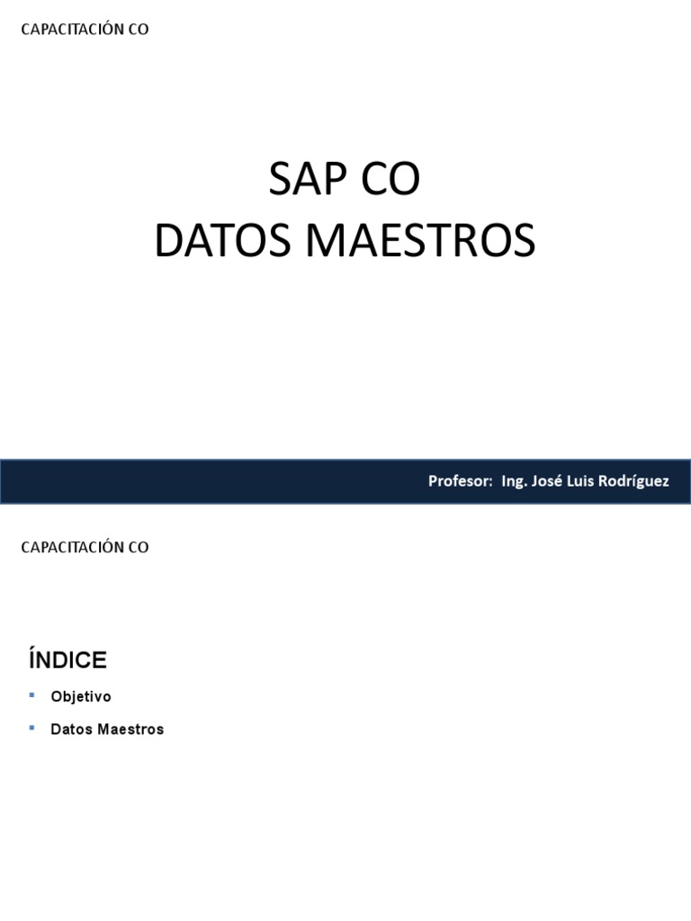 Sap Co Datos Maestros Pdf Economias Business