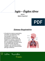 Toxicologia - Órgãos Alvos