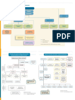 Estructura de La Rama Ejecutiva