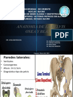 Anatomia de La Pelvis Osea y Blanda-1