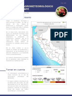 Cajamarca y Amazonas en fructificación,