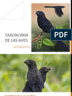 Taxonomia Aves2019