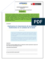 Voto responsable futuro Perú