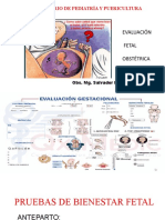 Evaluación Fetal Obstétrica