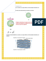 Dieléctricos en Campos Eléctricos