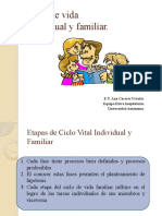 Clase 6 Ciclo de Vida Familiar e Individual 2