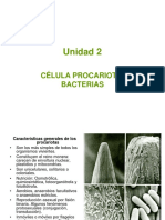 Unidad 2: Célula Procariota: Bacterias