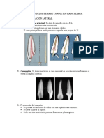 Obturación Del Sistema de Conductos Radiculares
