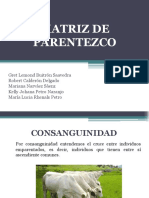 Matriz de Parentezco