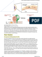 Cpy in The Metabolism of Drugs