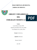 Origem y Desarollo Del Embarazo - 2021