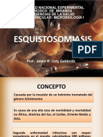 Esquistosomiasis