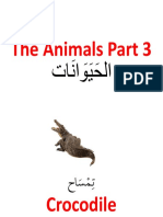 Animal P3