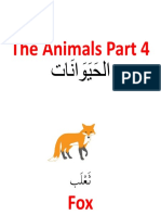 Animal-P4