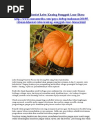 Budidaya Labu Siam Pdf Reader