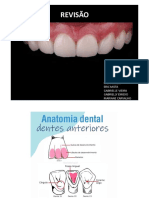 Anatomia Dentes Anteriores
